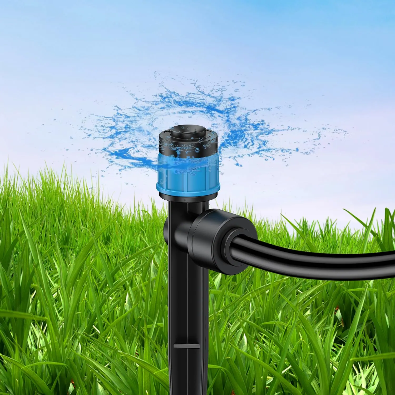 Drip Irrigation for Peppers: A Practical Root-Zone Method